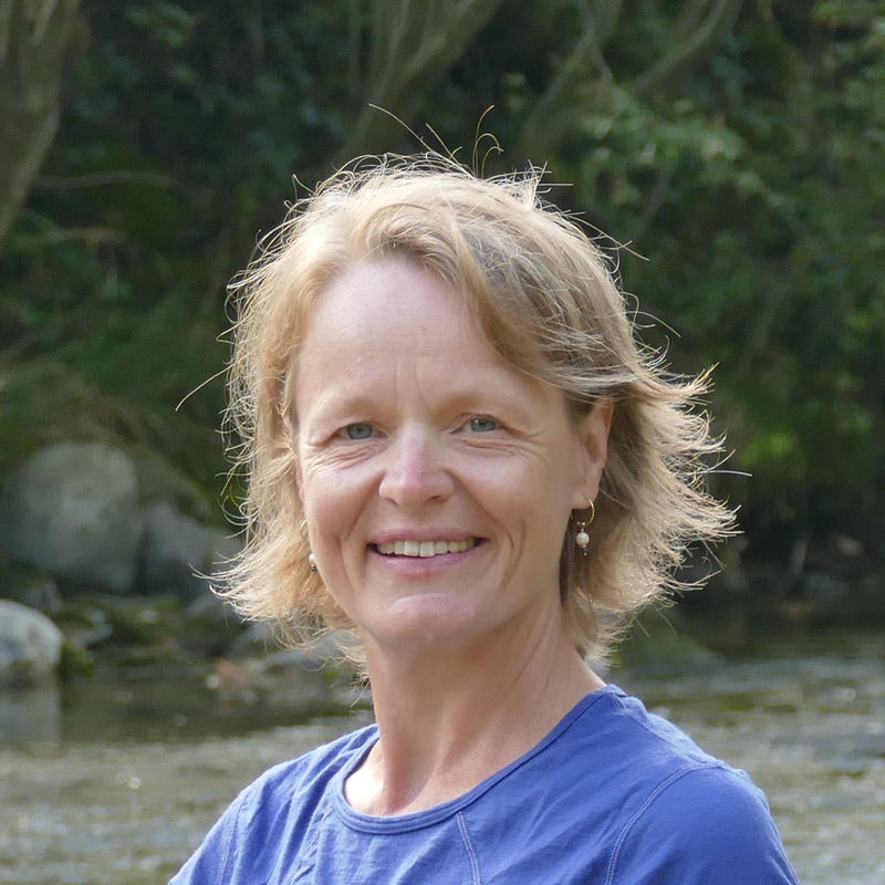 Über mich Mein Werdegang Jutta Weis